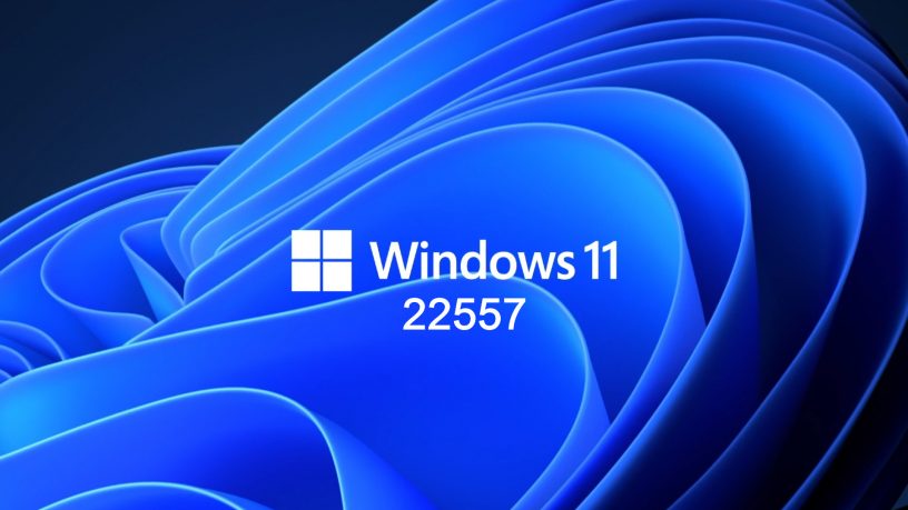 Windows 11 new update 22557